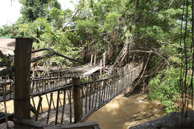 Cưỡi Voi ngắm Bản Đ&ocirc;n